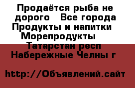 Продаётся рыба не дорого - Все города Продукты и напитки » Морепродукты   . Татарстан респ.,Набережные Челны г.